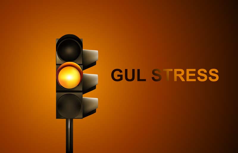Gul stress